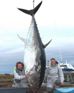 a_few_fishermens_biggest_catches_ever_10.jpg