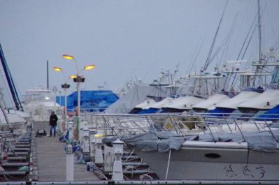 20111112小樽港マリーナのヨット