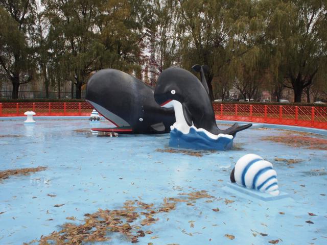 さびしそうなクジラ