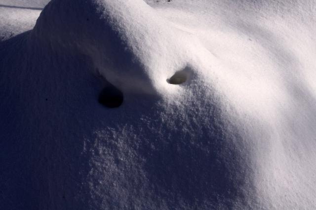ＹＵＲＩＧＡＨＡＲＡに出現した「雪の怪獣」