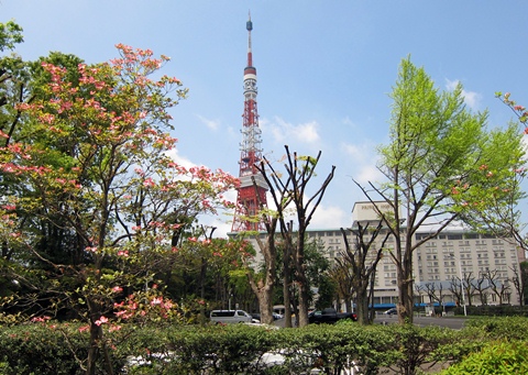 プリンスホテルと東京タワー