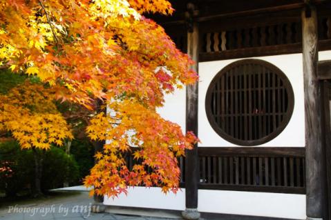 ふたたび紅葉を訪ねて　井山宝福寺（いやまほうふくじ）その２　岡山県総社市