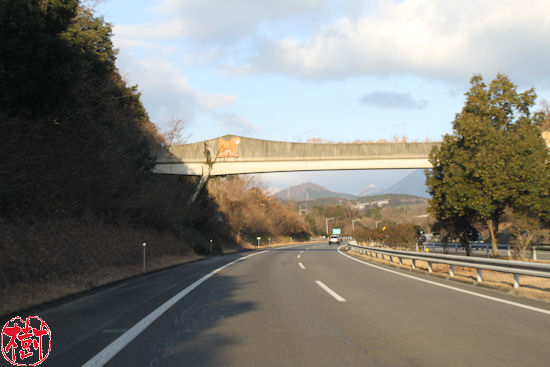高速道路上にある おさるの橋 九州大図鑑