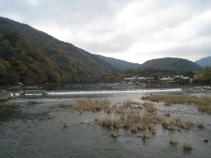 arashiyama4.jpg
