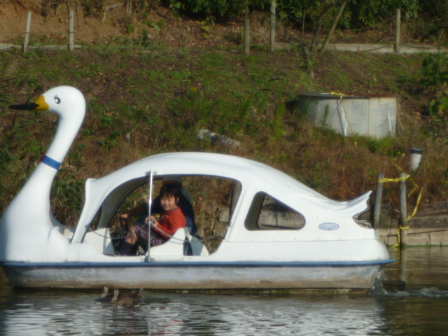 白鳥さんボート