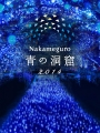 nakameguro_illumination2014[1]