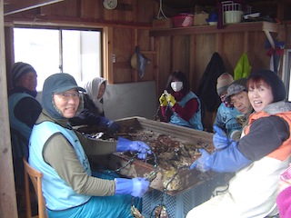 牡蠣種はさみ120204