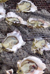 oysters_grilled