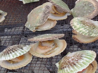 scallops_grilled