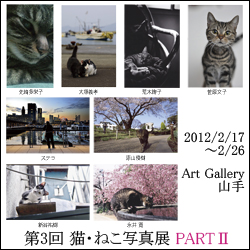 第３回猫・ねこ写真展バナー（正方形）_250x250_20120103