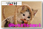 にほんブログ村 猫ブログ 猫 写真へ