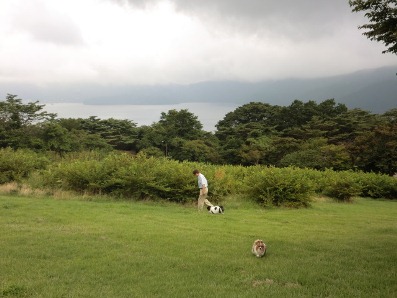 芦ノ湖を望めます