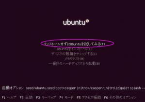 ubuntu起動画面2